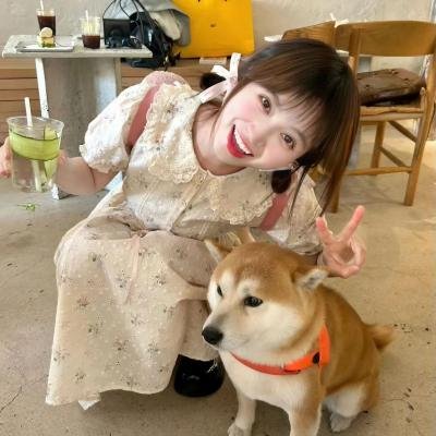 猫眼神探之红莲